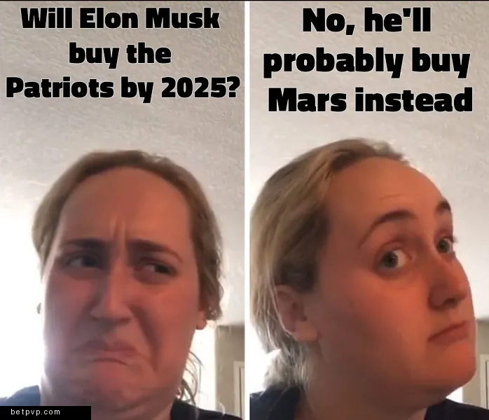 Will Elon Musk purchase the New England Patriots by December 31, 2025?